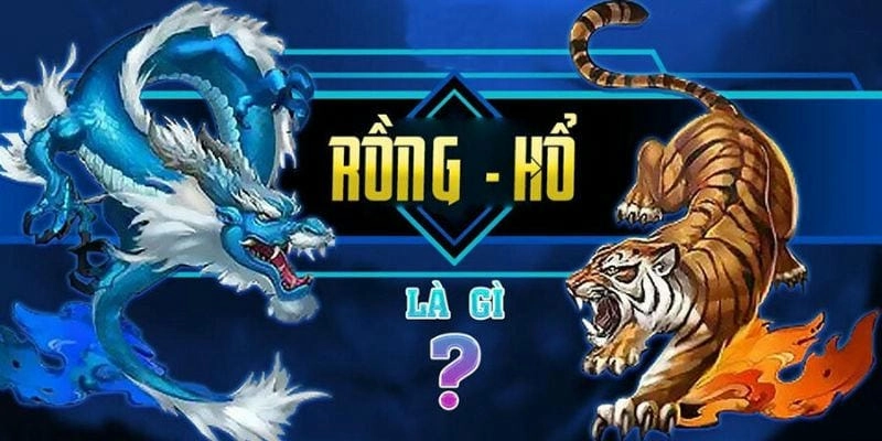 Bật mí mẹo chơi luôn thắng khi tham gia Rồng Hổ