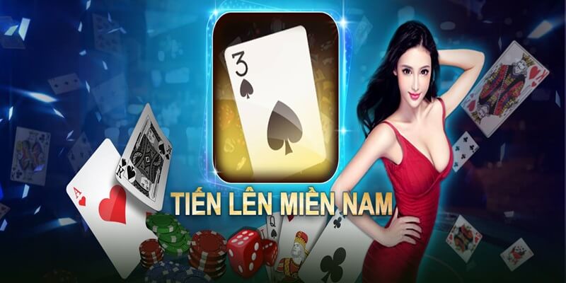 Giới thiệu tổng quan