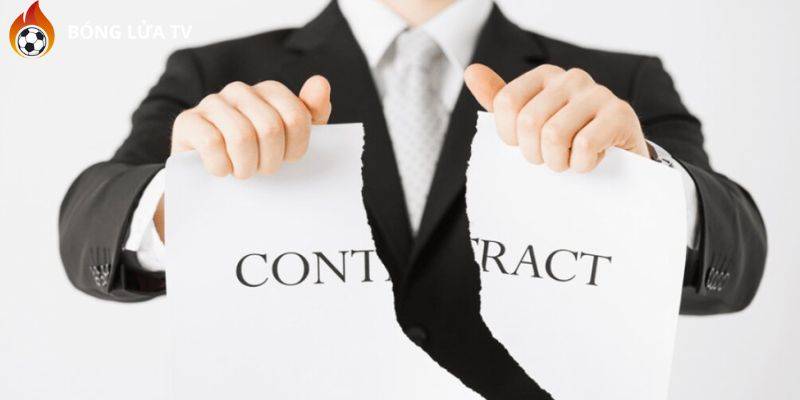Tình huống miễn trừ trách nhiệm phổ biến cần biết
