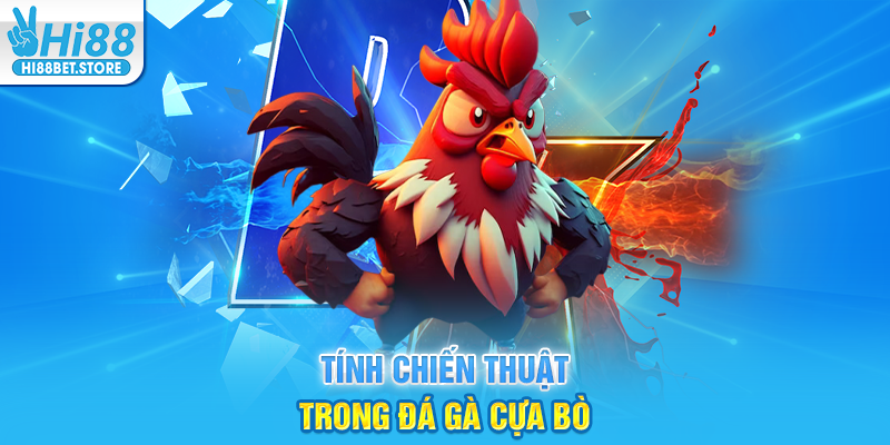 Tính Chiến Thuật Trong Đá Gà Cựa Bò